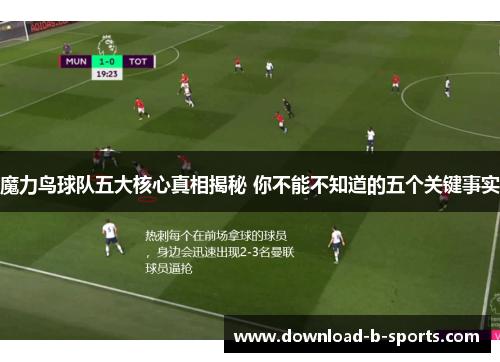魔力鸟球队五大核心真相揭秘 你不能不知道的五个关键事实 魔力鸟球队五大核心真相揭秘 你不能不知道的五个关键事实