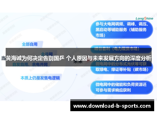 黄海诚为何决定告别国乒 个人原因与未来发展方向的深度分析