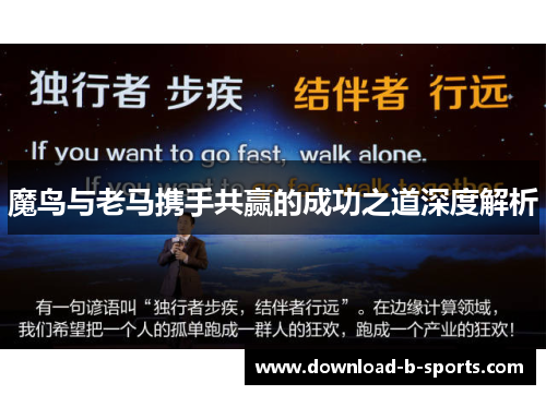 魔鸟与老马携手共赢的成功之道深度解析